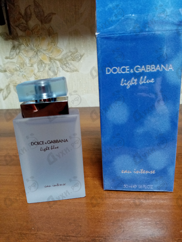dolce gabbana light blue intense